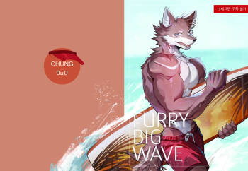Furry Big Wave cover