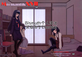 Mromantik XVII cover