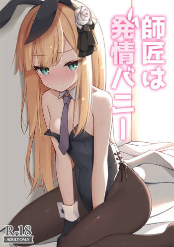 My teacher is a horny bunny cover