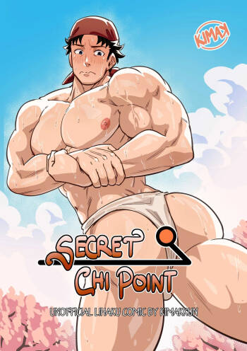 Secret Chi Point cover