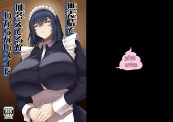 Muhyoujou de Nani Kangaeteru ka Wakaranai Maid cover