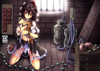 Shameimaru Aya Kyousei Zecchou Souchi cover