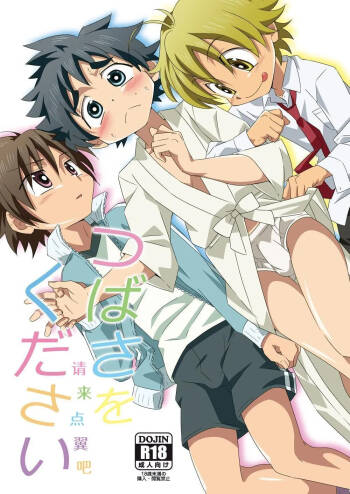 Tsubasa o Kudasai | 请来点翼吧 cover