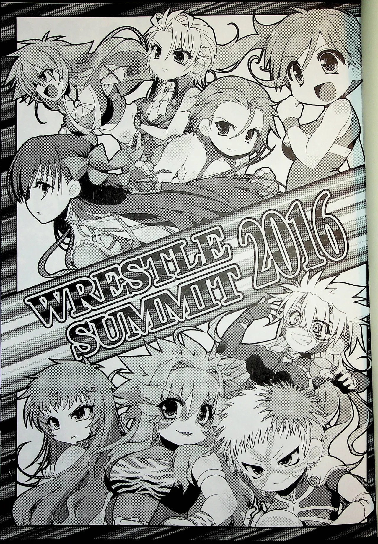 Wrestle Summit 2016 page 2 full