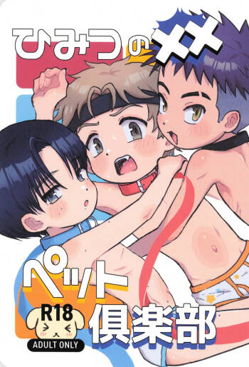 Himitsu no xx petto kurabu cover