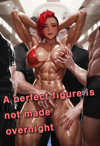 A perfect figure is not made overnight cover