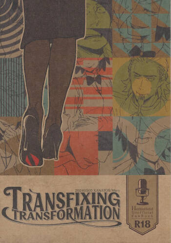 TRANSFIXING TRANSFORMATION cover