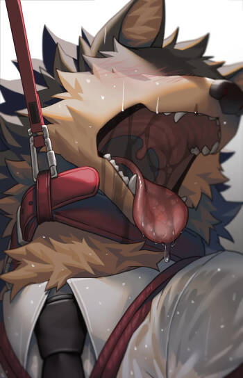 TYArashiArt cover