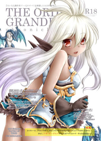 THE ORDER GRANDE chronicle cover