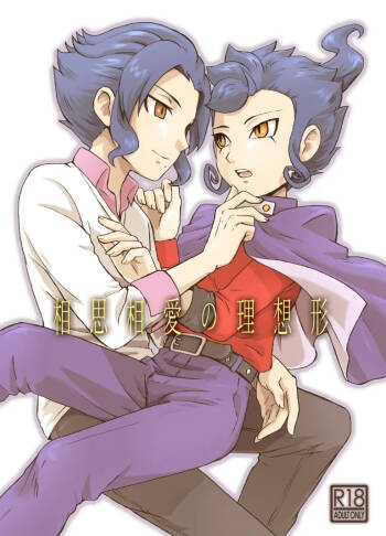 相思相愛の理想形 cover