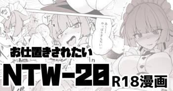 NTW-20 cover