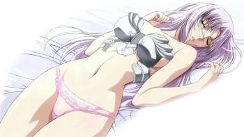 Queen's Blade Annelotte Collection cover