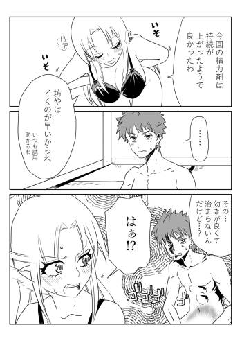 衛宮無双 cover