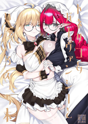 A book about Tonelico and Baobhan Sith doing various lewd things cover