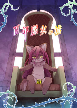 [nininini (dangan)] hyaku-nen majo no shiro•百年魔女的城堡[寒风个人汉化]