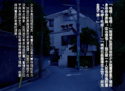 Pure Radiance Primula