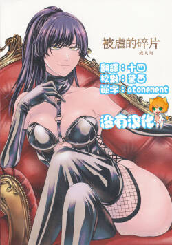 (C100) [Daiji na Koto wa Nikai mo Iwanai (Hasebe soutsu)] 被虐的碎片 | Higyaku no Danpen  [Chinese] [沒有漢化]