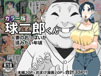 カラー版 球二郎くん 人妻のおっぱいが揉みたい年頃（机翻） cover