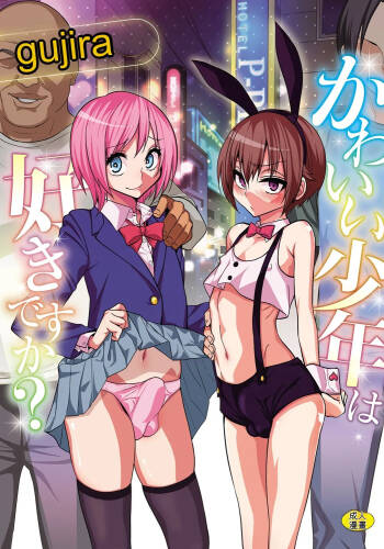 Kawaii Shounen wa Suki desuka? cover