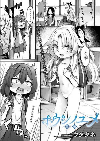 ホウシノ ユメ cover