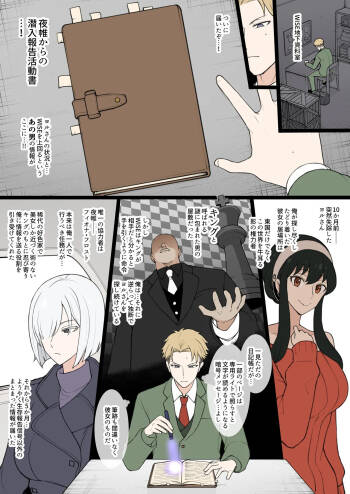 Night Curtain Infiltration Report cover