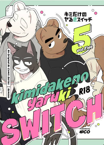 Kimi deke no Yaruki Switch5 cover
