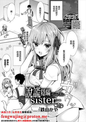 嘘つきシスター cover