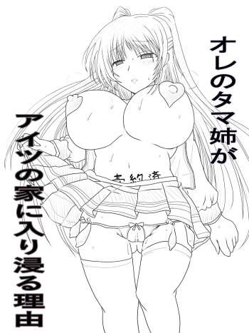 チャラ男のセフレになるタマ姉の話 cover