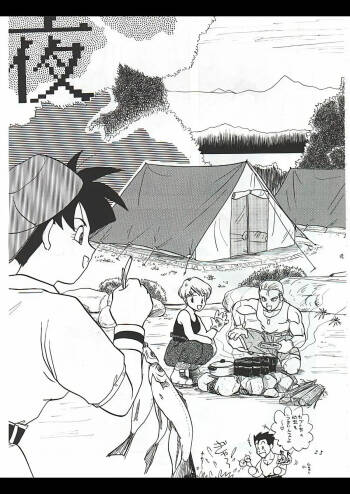 Dragon Ball Camp cover