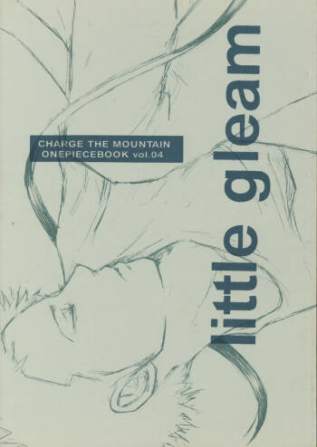 little gleam cover