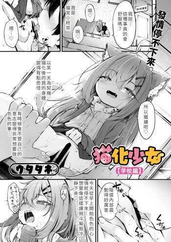 Nekoka Shoujo cover