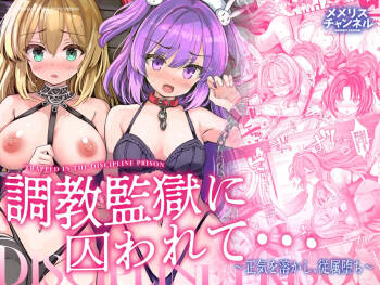 Choukyou Kangoku ni Torawarete... Seiki o Tokashi, Juuzoku Ochi cover