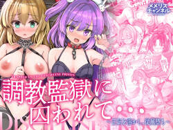 [Memeris Channel (Aoiro 3-gou)] Choukyou Kangoku ni Torawarete... Seiki o Tokashi, Juuzoku Ochi [Digital]