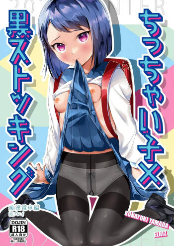 Short Heroine x Black Stockings ~touched on the train~ cover