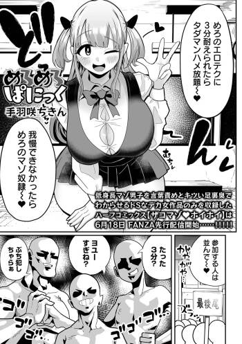 meromeropanikku cover