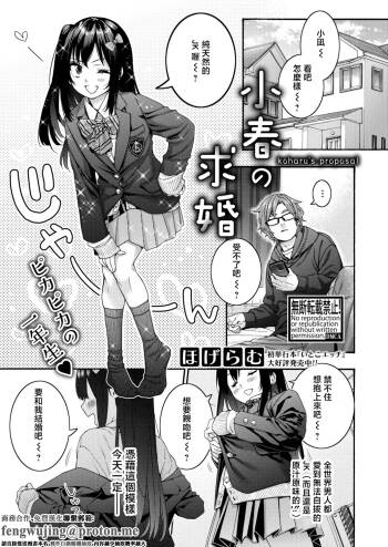 小春の求婚 cover