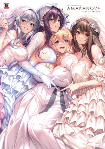 アマカノ2＋ ビジュアルファンブック cover