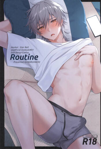 Routine cover