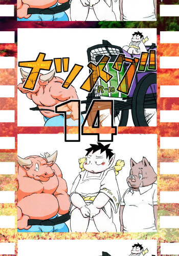 Natsumegu 14 cover