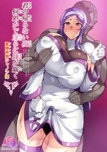 Kimi ga Kaeranai Yoru Dokoka de Midara ni Buta ga Aeku Ch. 1-5 cover