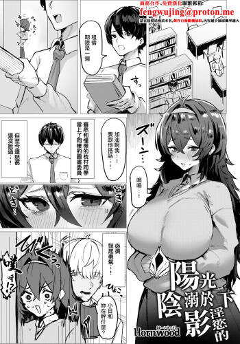 陽に淫される陰 cover