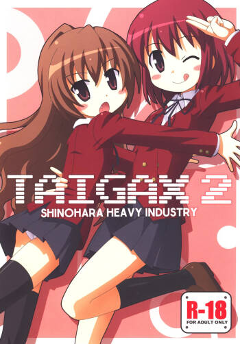 TAIGAX 2 cover