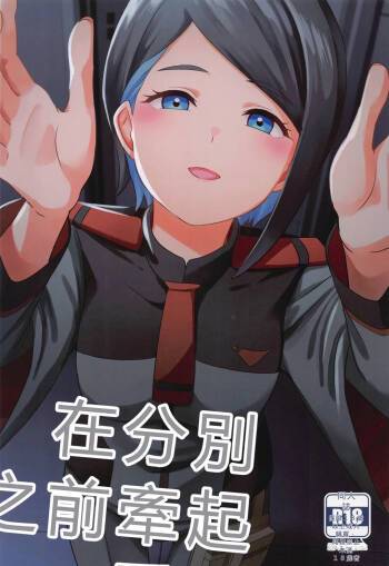 Wakare no Mae ni Kakegae no  Nai Omoide o cover