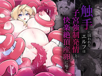 Shokushu ni torawareta erufu wa shikyuu kyou○hatsujou to kairaku zecchou sanran ni aegu cover