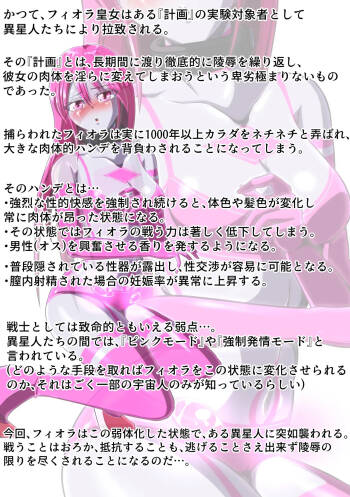 Gyutouseijin no kyouhu ~Fiora Crisis Gaiden 3~ cover