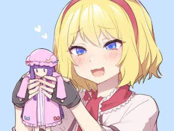 Doll cover