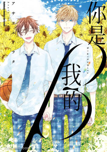 Kimi wa Beta︱你是我的 β cover