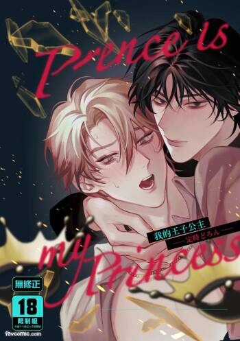 Prince Is My Princess︱我的王子公主 cover