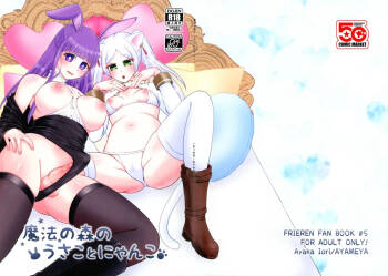 Mahou no Mori no Usako to Nyanko cover