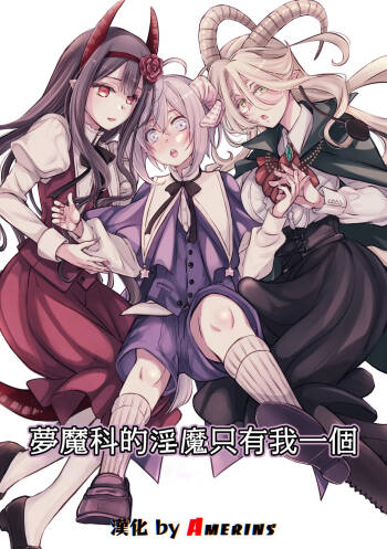 Mumaka no Inkyubasu wa Boku Hitori Deshita. cover